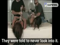 Bro and Dad sell Mom and Daughter into sex slavery